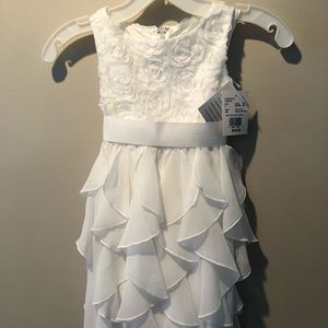 NWT David’s Bridal Flower Girl Dress